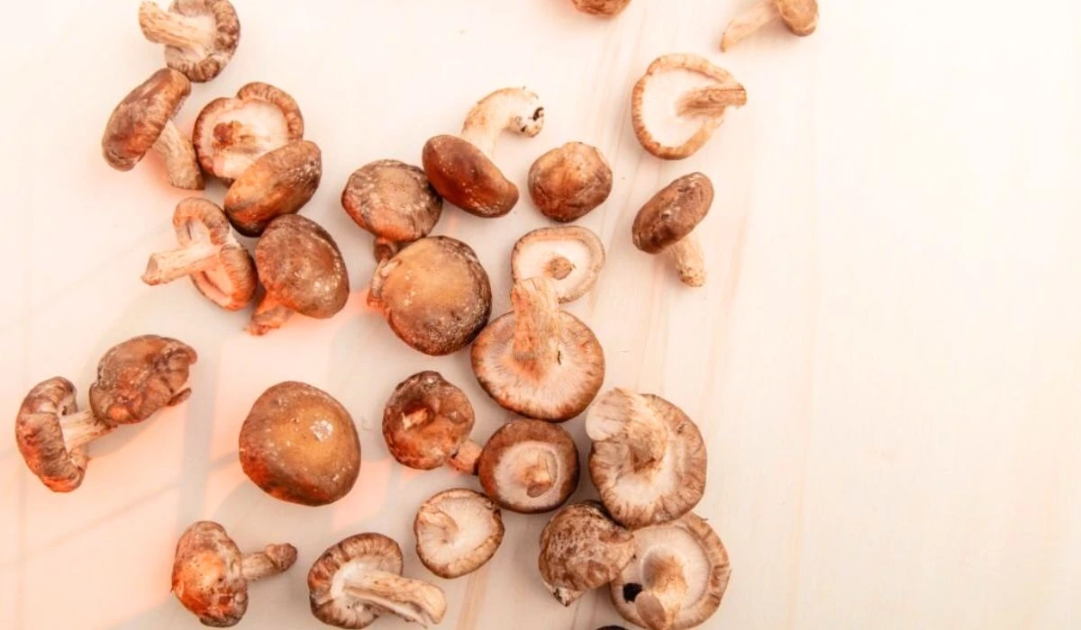 Benefits Of Medicinal Mushrooms For Brain Health