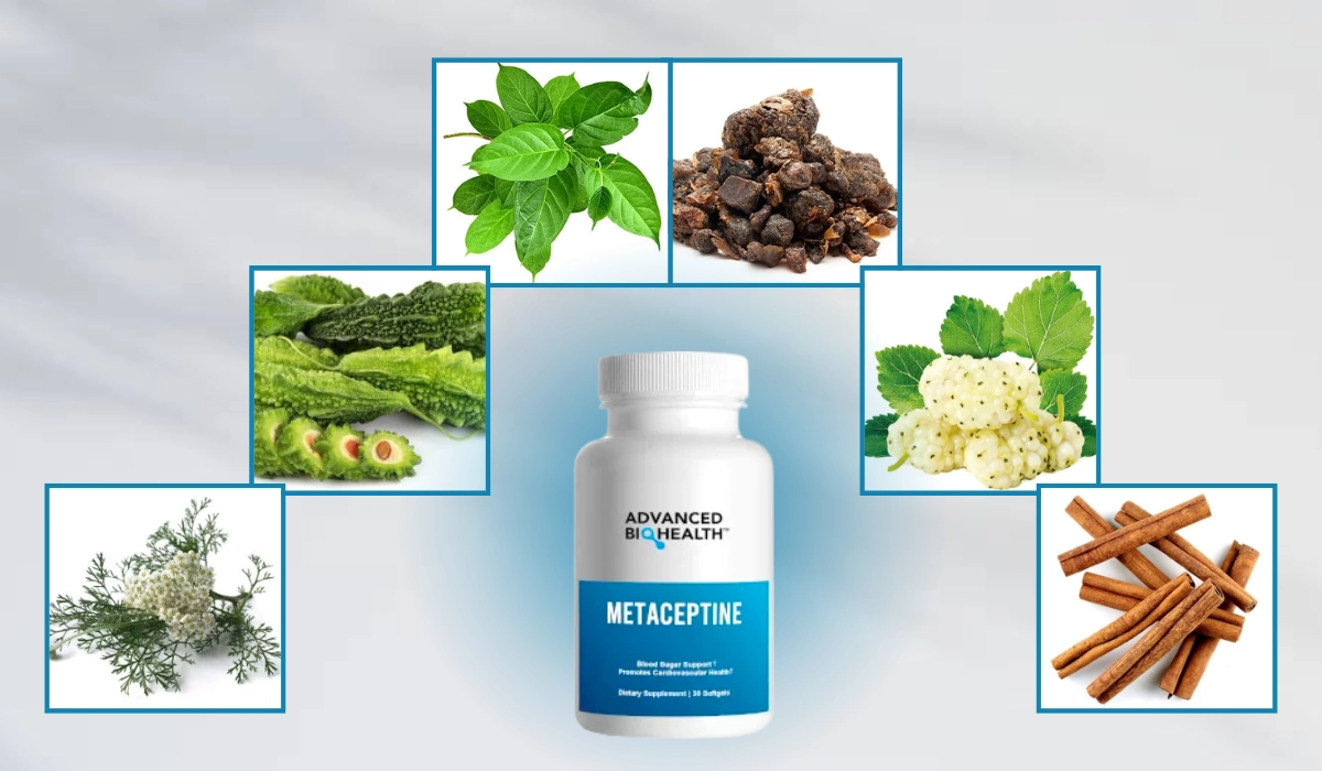 Metaceptine Ingredients