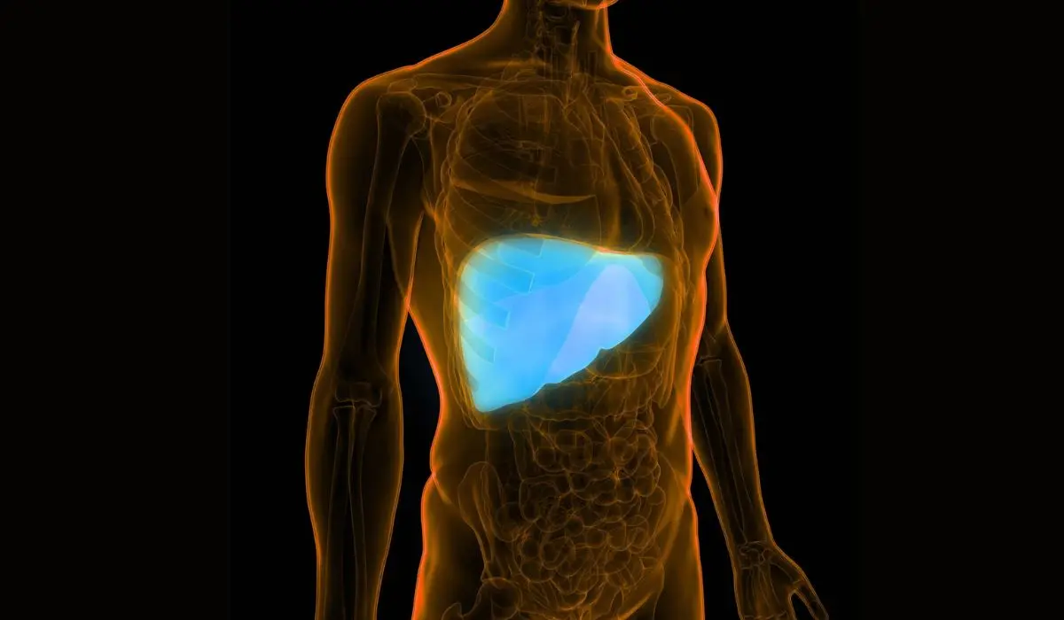 Non-alcoholic Fatty Liver disease causes