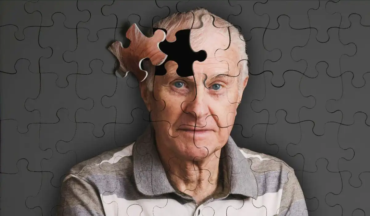Alzheimer's and the Gut-Brain Connection