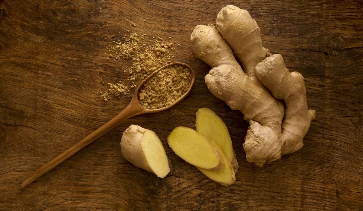 Ginger Rhizomes Health Benefits