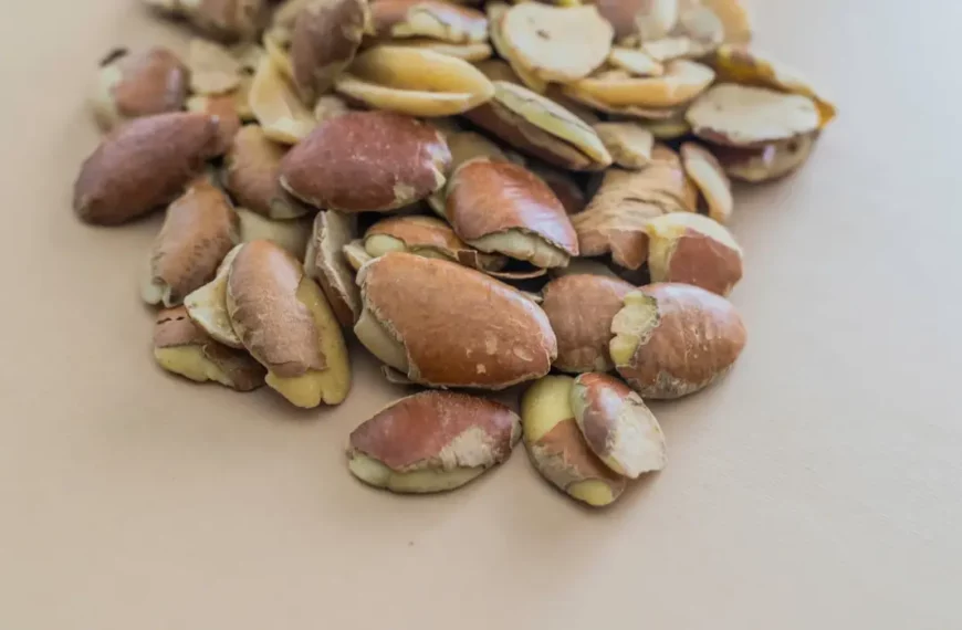 Uncovering The Nutritional Powerhouse - Dika Nuts Pack A Healthy Punch